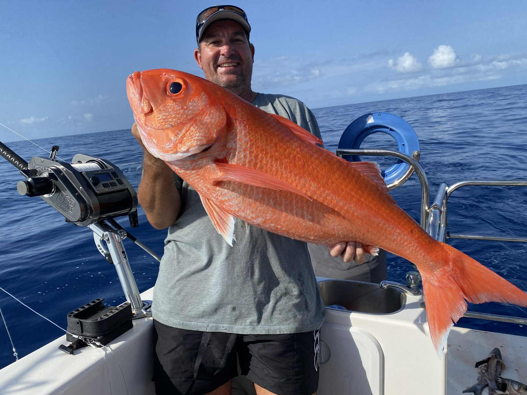 Choosing the Right Fishing Reel for Your Next Adventure